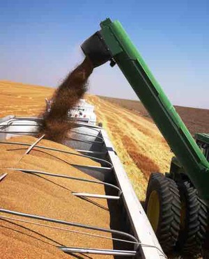 Experienced Truck Driver Wanted For Harvest