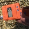 cereal hay with feed test