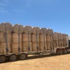 Premium Quality Irrigated Hay