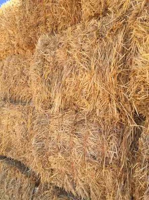 270m/t Oaten Hay in 8x4x3 Bales