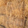 270m/t Oaten Hay in 8x4x3 Bales