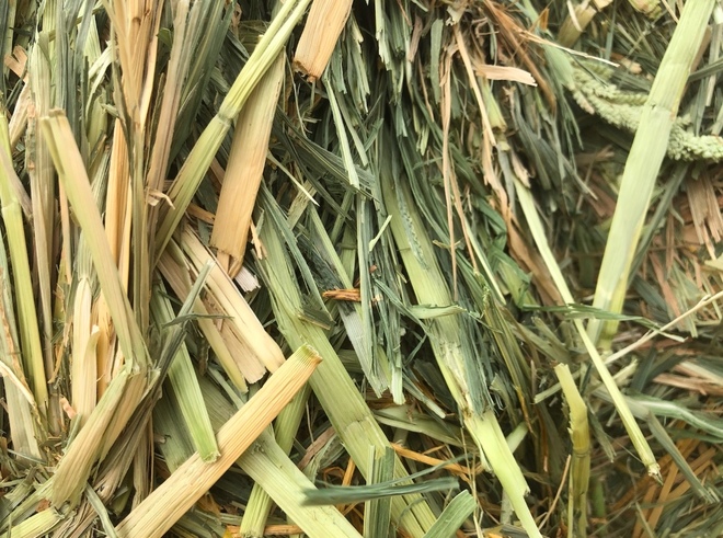 1 x B Double Load Millet Hay 8x4x3 (High Moisture)