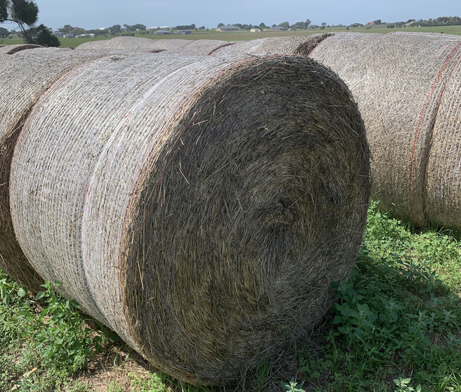 NEW SEASON OATEN HAY 5 x 4