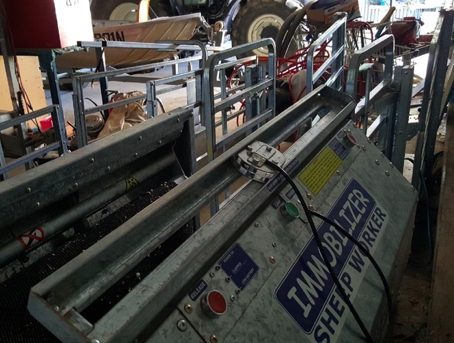 Peak Hill Sheep Immobilizer 