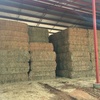 Wheaten Hay 8x3x3 bales ‘New Season’