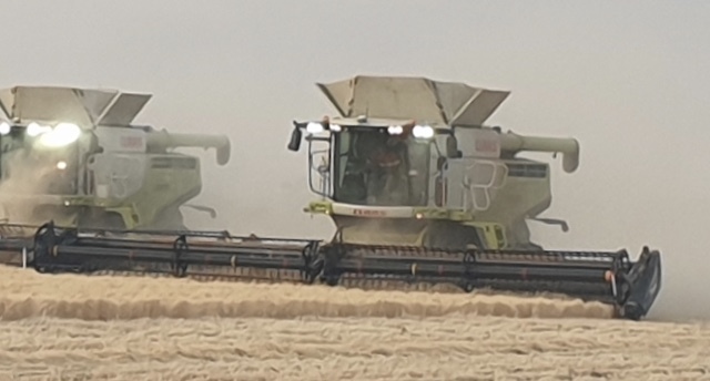 CLAAS Lexion 770TT Header