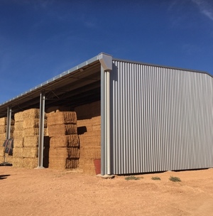100mt Vetch Hay 8x4x3 Bales 