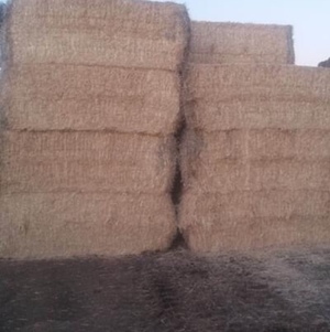 Barley Straw 425kg 8x4x3 Bales (Header Tails) + Freight