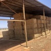 40mt Canola Hay 8x4x3 Bales Ex Farm Riverina