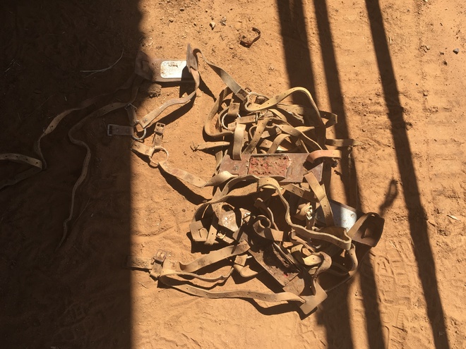 Under Auction - (A132) - Barrel of Approx. 50 Ram Harnesses 