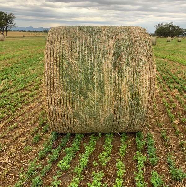 Lucerne/Clover/Rye Grass 5x4 round bales