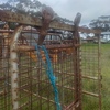 stock crate 