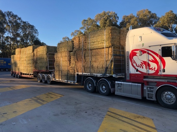 200mt Wheaten Hay 675kg 8x4x3 Bales + Freight