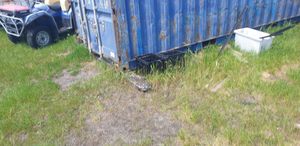 Shipping container 20 foot.