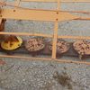  Taarrup 7 Disc Mower -