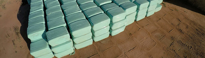 Annual Rye Grass Silage