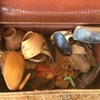 Under Auction - Under Auction (A132) - 2 Trunks, Horse Knee Pads, Shin Guards 
