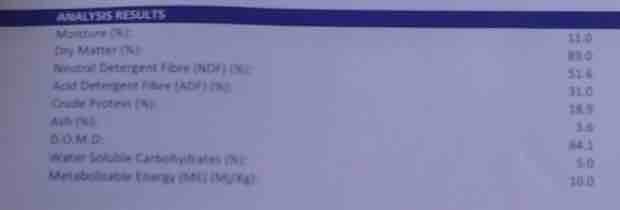 58 x Pasture Hay Rolls Shedded