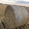 Barley straw 5x4 rounds