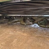 2013 John Deere 946 Mower Conditioner