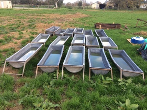 5 Calf Pellet Troughs