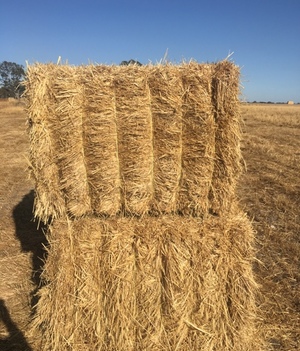 671 x Wheaten Hay 630kg 8x4x3 Bales