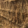 250 x 500kg 8x4x3 Bales of New Season Hay (2 Varieties) 