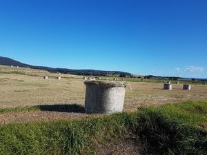 Large round pasture grass/hay bales silage.