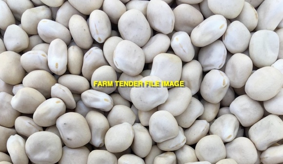 WANTED 3mt Murringo Lupin Seed