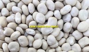 WANTED 3mt Murringo Lupin Seed