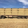 2 x B-Double Loads of  Barley Hay