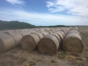 5' x 4' net wrap rolls for sale