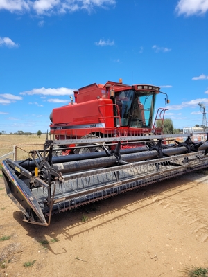 Case 2188 with 960 Macdon Front with Trailer