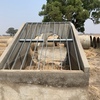 Irrigation Pipes