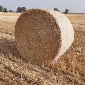 Wheat Straw 5x4 Rounds 