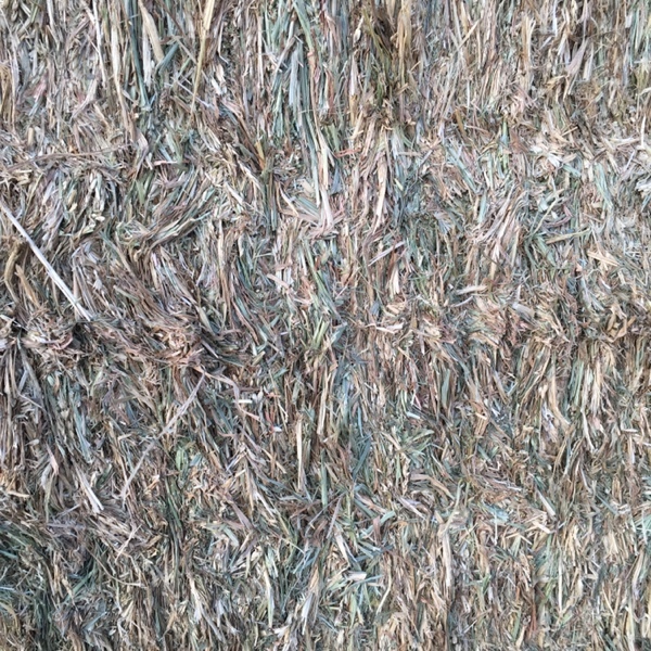 200mt Barley Hay