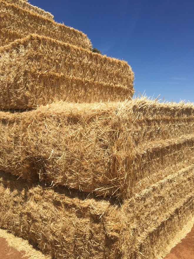 450mt Wheaten Straw 8x4x3 Bales