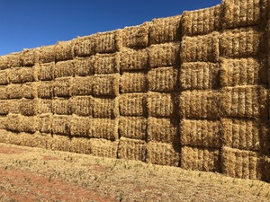 Barley Straw / Header Tailings
