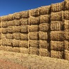Barley Straw / Header Tailings
