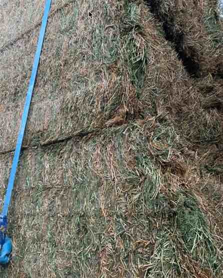 200 m/t A1 Vetch Hay Seller to Freight 