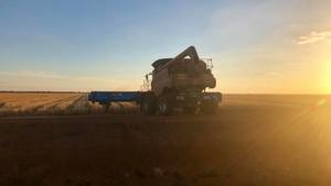 Mitika Grade 1 Milling Oats