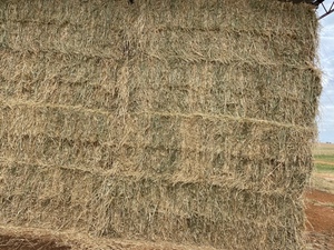 Barley and Lucerne Hay