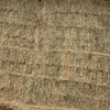 Barley and Lucerne Hay