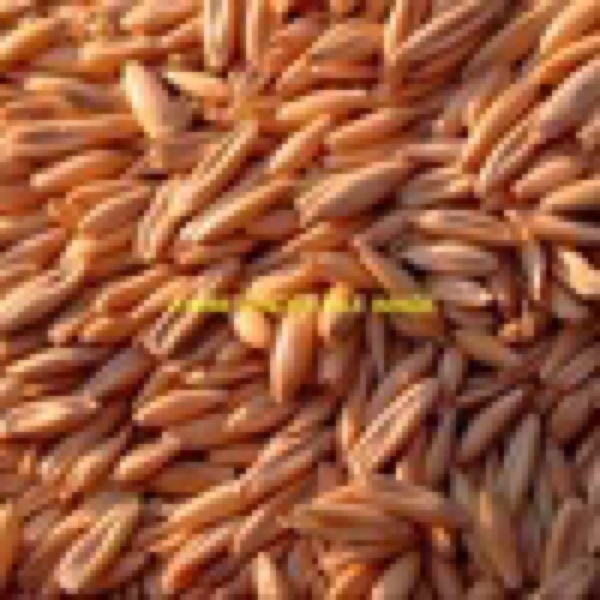 4.34/mt Graded Brusher Oats For Sale in bulka bags