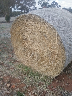 Barley Hay 5x4 Round Bales 