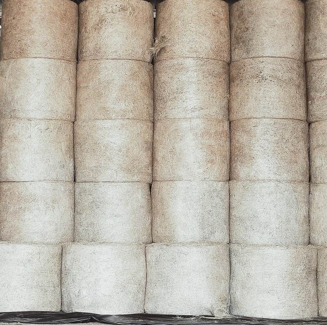 WANTED Shedded Ryegrass  Rolls