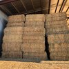 Wheaten Hay 8x4x3 - Canowindra NSW