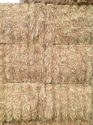 170mt Wheaten Hay 'New Season' 650kg approx 8x4x3 Bales