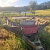 2 Class Boomerangs - Feed Out Carts