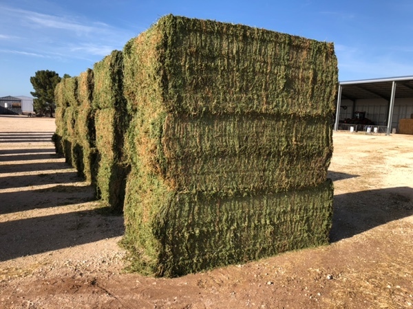 100mt Vetch Hay 8x4x3 Bales